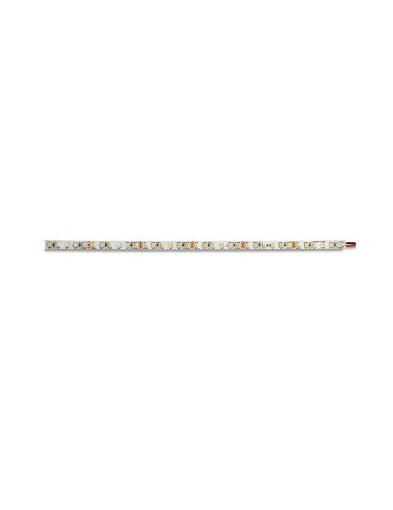 Strip Eco Led Striscia Bianco Luce Calda 24V 9,6W Professional High  Efficiency - High Density BEGHELLI - 56646