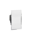 Pulsante Targa Portanome 1P NO 24V 10A Living Now BTICINO - K4040