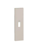 Cover Connettore USB Sabbia 1modulo Living Now BTICINO - KM10P