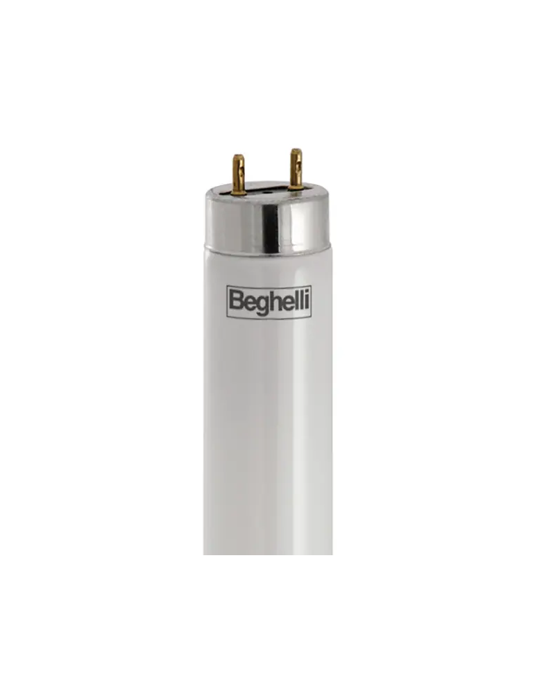 EcoLED T8 Tubo Tuttovetro 9W 600mm 4000k BEGHELLI - 56250