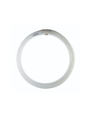 Lampada Fluorescente Anello Circolare T9 40W 6500K G10Q BOT LIGHTING - LR401T