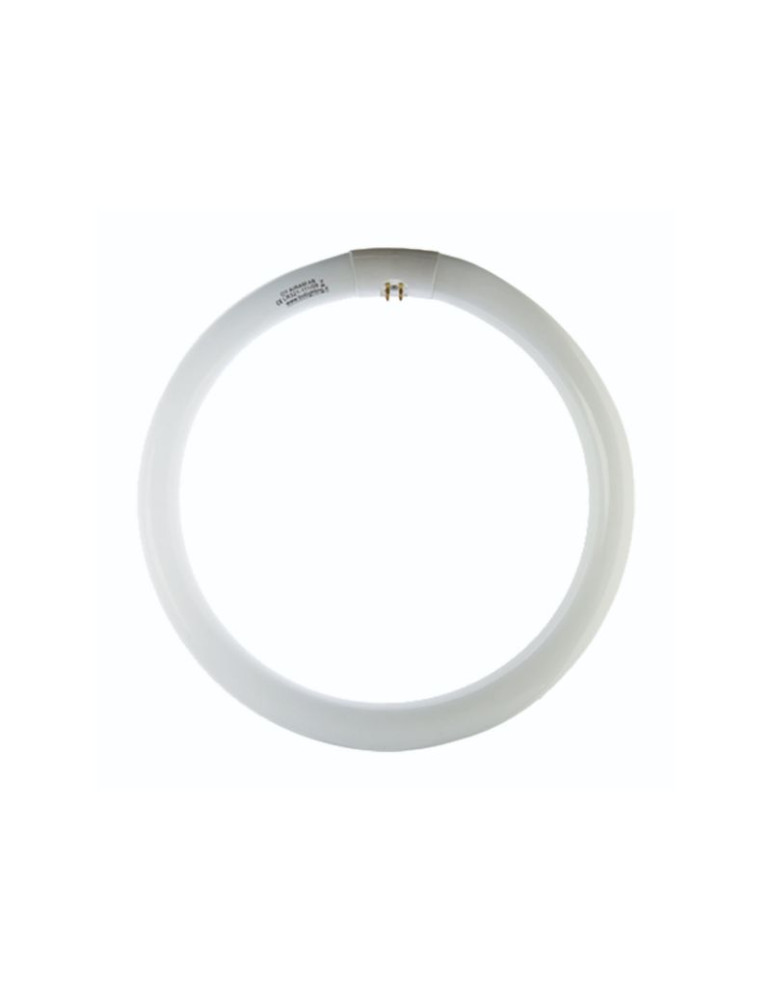 Lampada Fluorescente Anello Circolare T9 40W 6500K G10Q BOT LIGHTING - LR401T
