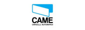 Came
